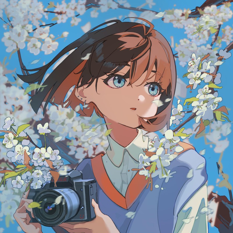 Anime Girls, Blue Eyes, Camera, Flowers Wallpaper