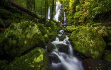 Waterfall, Forest, Nature, Trees Wallpaper