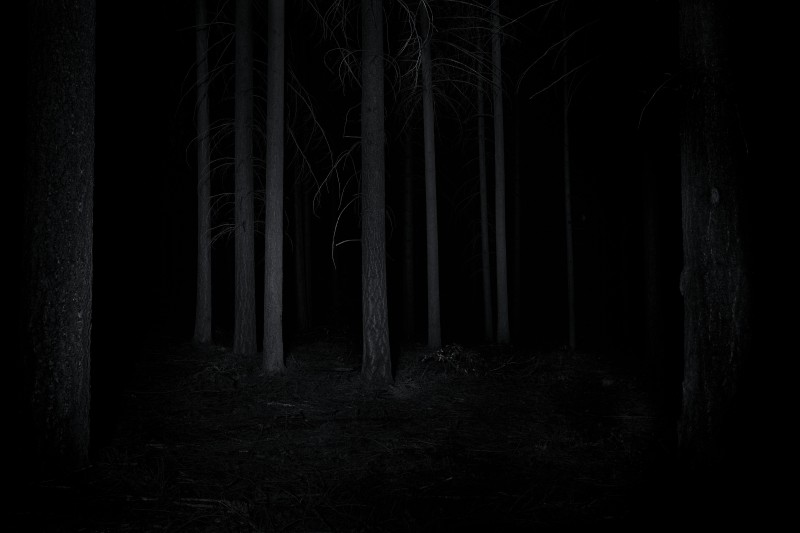 Dark, Nature, Forest, Night, Trees Wallpaper
