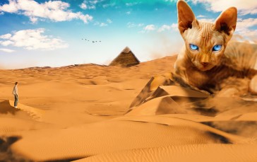 Cats, Desert, Sand, Gods, Egypt Wallpaper
