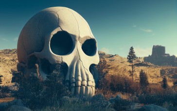 Skull, Rocks, Desert Wallpaper