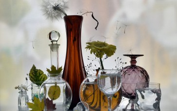 Irina Shipunova, Still Life, Plants, Glass, Leaves Wallpaper