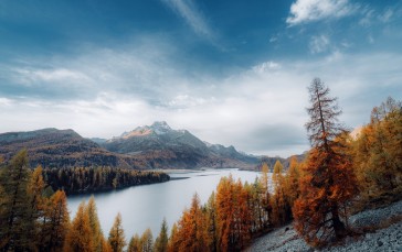 Landscape, Nature, Mountains, Lake, Pine Trees Wallpaper