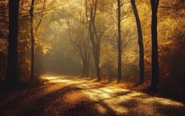 AI Art, Fall, Road, Forest, Leaves Wallpaper