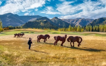 Landscape, 4K, New Zealand, Nature, Horse, Men Wallpaper