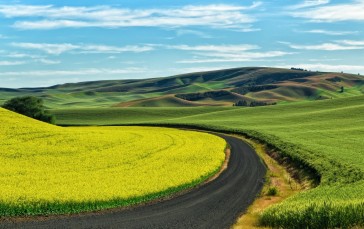Road, Field, Sky Wallpaper