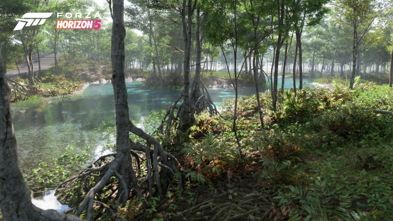 Forza Horizon 5, Video Games, CGI, Water, Trees Wallpaper