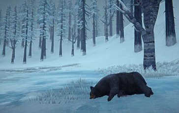The Long Dark, PC Gaming, Video Game Landscape, Survival, Screen Shot Wallpaper