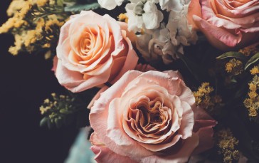 Rose Bouquet, Pink Flowers, Petals, Yellow, Flowers Wallpaper