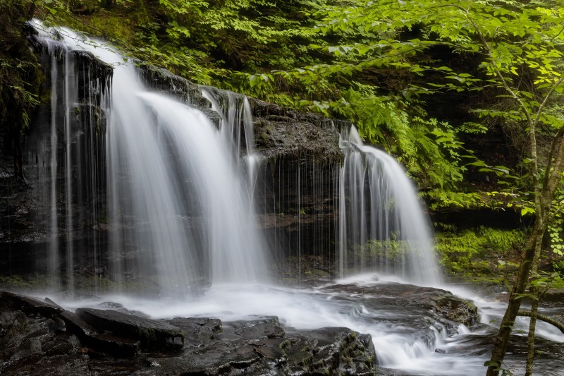 Ricketts Glen State Park, USA, Pennsylvania, Nature, Waterfall Wallpaper