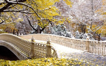 Central Park, Bridge, Winter, Snow, Leaves Wallpaper
