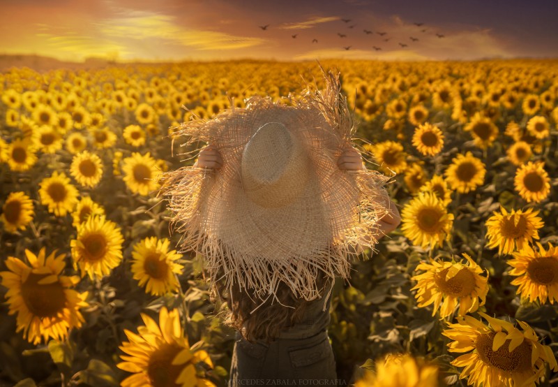 Women, Sunflowers, Hat Wallpaper