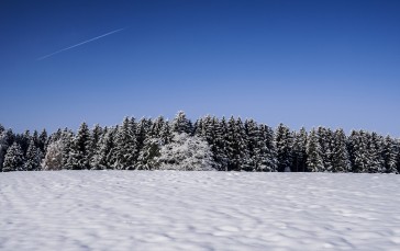 Nature, Landscape, Trees, Snow Wallpaper