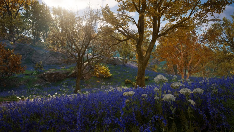 Assassin’s Creed: Valhalla, Video Games, Nature, Trees, Flowers Wallpaper
