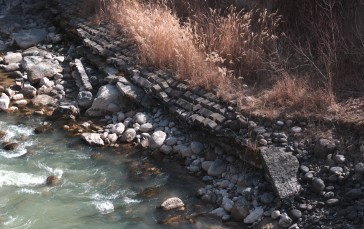 Water, Rocks, Bushes, Plants Wallpaper