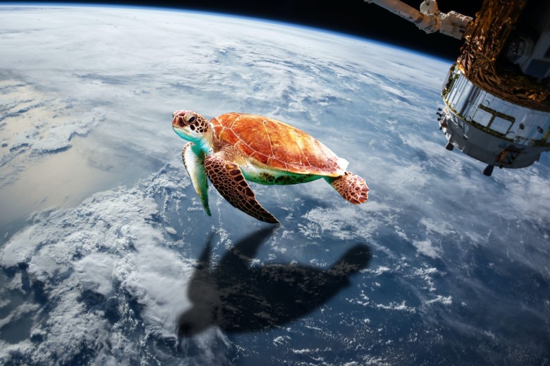 Turtle, Earth, Orbital View, Planet, Space Wallpaper