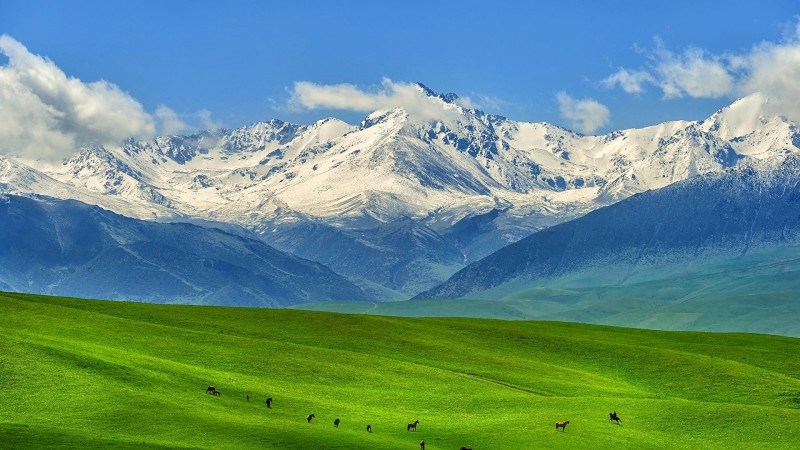 Mountains, Horse, Snowy Peak, Kazakhstan Wallpaper