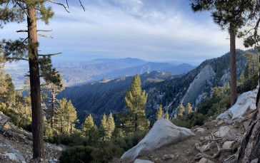 California, USA, Landscape, Forest Wallpaper