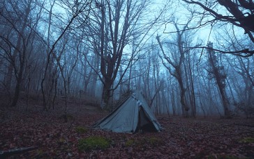 Forest, Camping, Landscape, Nature, Mist, Cold Wallpaper
