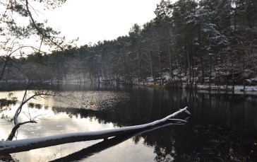 Park, Lake, Winter, Water, Nature, Snow Wallpaper