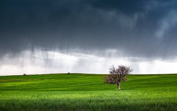 Nature, Field, Rain, Sky, Grass Wallpaper