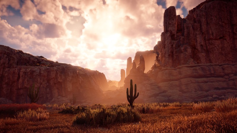 Horizon: Zero Dawn, Video Game Landscape, Video Games, CGI Wallpaper