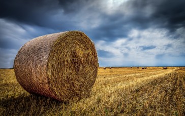 Nature, Field, Hay, Clouds Wallpaper