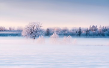 Landscape, Nature, Winter, Snow Wallpaper
