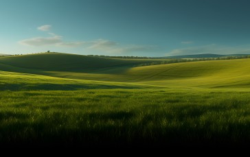 AI Art, Grass, Field, Windows XP Wallpaper