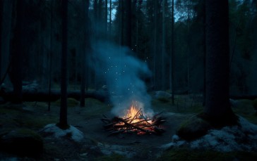 AI Art, Fire, Forest, Sweden Wallpaper