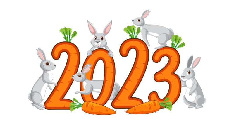 2023 (year), Rabbits, Carrots, Minimalism, Simple Background Wallpaper