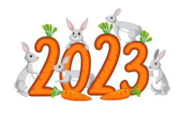 2023 (year), Rabbits, Carrots, Minimalism, Simple Background Wallpaper