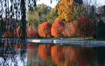 Lake, Water, Reflection, Trees, Nature Wallpaper