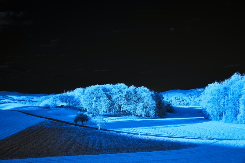 Field, Blue, Dark, Landscape, Trees Wallpaper
