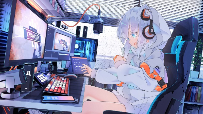 Headsets, Playing, PC Gaming, Computer Wallpaper