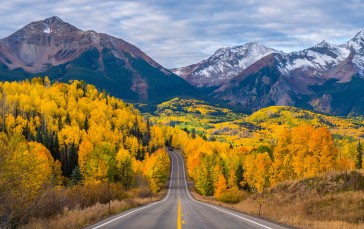 USA, Colorado, Road, Nature, Forest Wallpaper