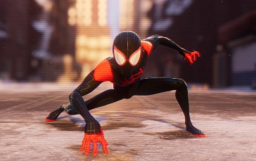 Spider-Man, Spiderverse, Spider-Man: Into the Spider-Verse Wallpaper