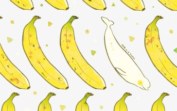Fruit, Dolphin, Bananas, Humor Wallpaper