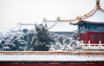 Forbidden City, Snow, Palace, Chinese Architecture, Building Wallpaper