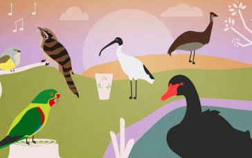 Birds, Animals, Illustration, Artwork, Swan Wallpaper