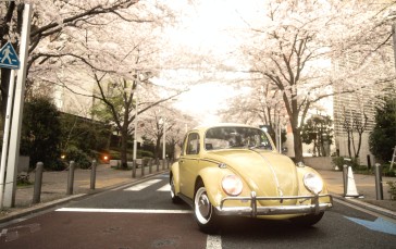 Nature, Car, Vehicle, Video Games, Gran Turismo 7, Volkswagen Beetle Wallpaper