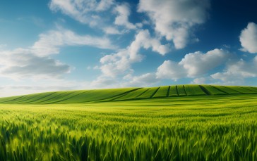 AI Art, Grass, Field, Windows XP, Bliss Wallpaper