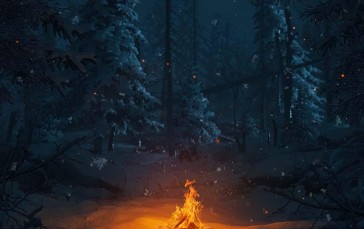 Camp, Campfire, Nature, Night Wallpaper