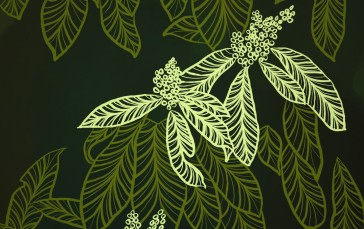 Plants, Portrait Display, Nature, Green, Leaves Wallpaper