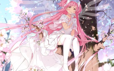 Anime, Anime Girls, Pink Hair, Yellow Eyes, Blushing Wallpaper