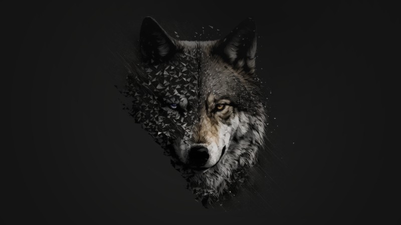 Wolf, AI Art, Digital Art, Simple Background Wallpaper