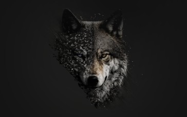 Wolf, AI Art, Digital Art, Simple Background Wallpaper