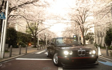 Car, Vehicle, Japan, Spring, Cherry Blossom Wallpaper