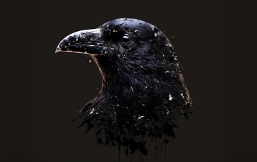 AI Art, Birds, Animals, Crow, Simple Background Wallpaper