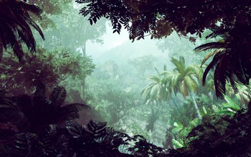 Tomb Raider, 505 Games, Video Games, Digital Art, Palm Trees Wallpaper
